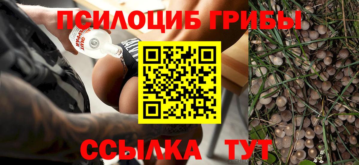 Псилоцибиновые грибы Psilocybine cubensis Спасск-Дальний